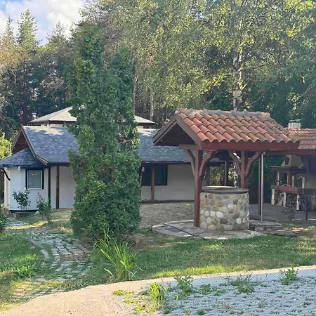 Луксозна вила Yarema Mountain Relax With Hot Jacuzzi & Sauna By Bookvillabg Zheleznitsa