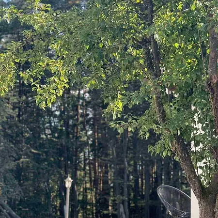 Yarema Mountain Relax With Hot Jacuzzi & Sauna By Bookvillabg Луксозна вила Zheleznitsa